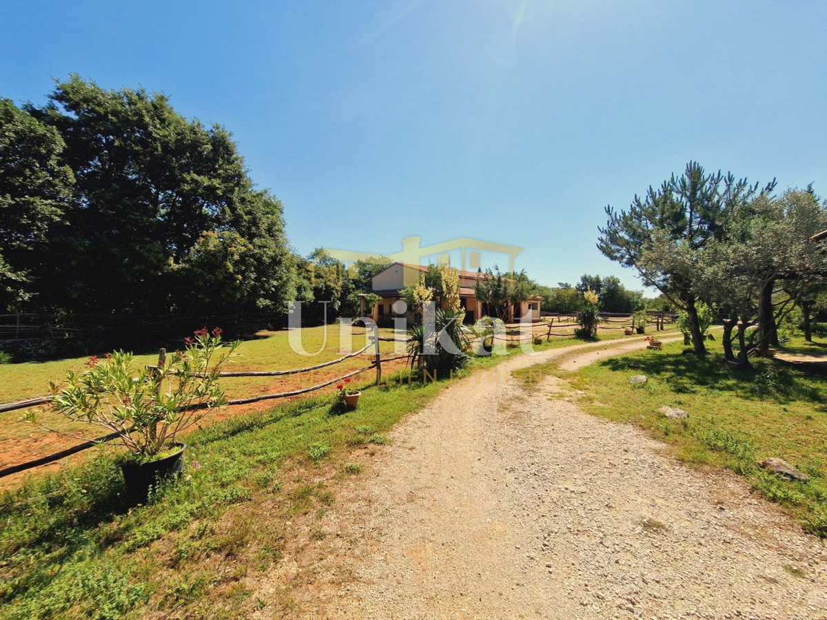 Autentica proprietà con casa in pietra e ampio terreno